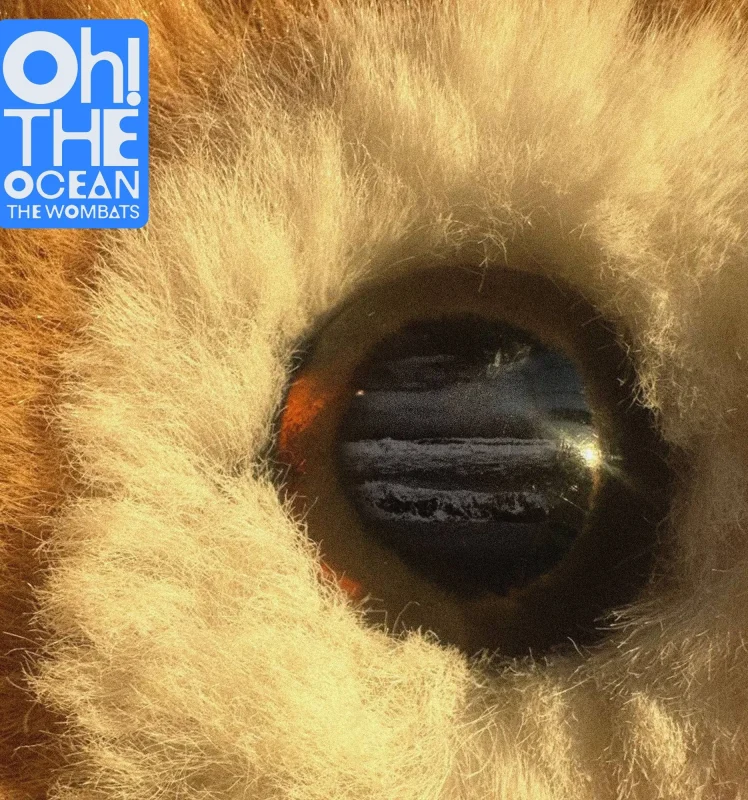 The Wombats – Oh! The Ocean
