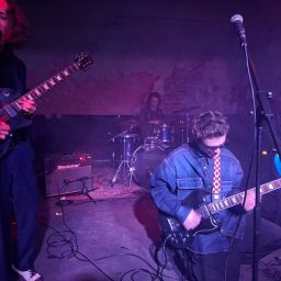 Automotion – Circolo Arci Bellezza – Live Report
