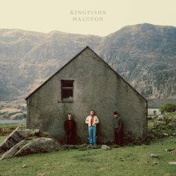 Kingfishr: pubblicato l’album d’esordio “Halcyon”