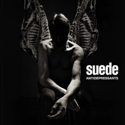 Suede – Antidepressants